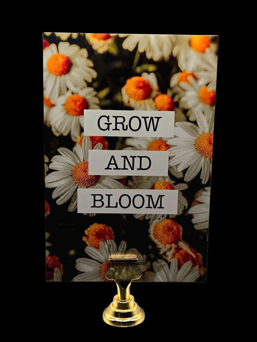 "5/$40" Reversible Set Of 2  4x6 Photo Cards W/Gold Stand Daisies/Bicycle